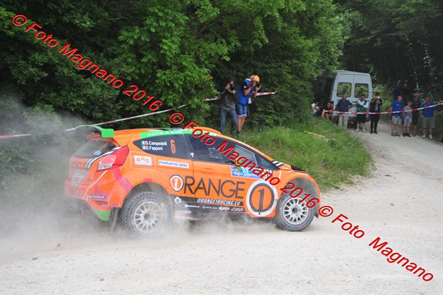 DSC_6438.JPG